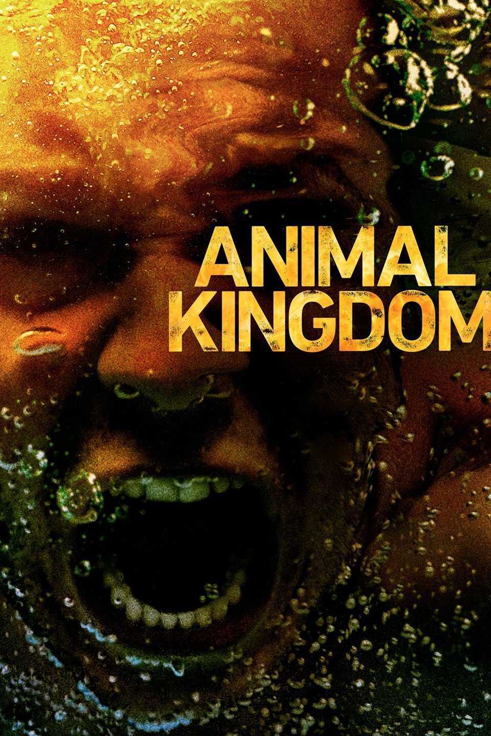 animal-kingdom-season-3-ตระกูลชั่ว-ครอบครัวโจร-ปี-3-ep-1-13-ซับไทย